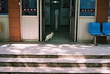 动视暴雪内部调查称公司没有忽视各种骚扰行为